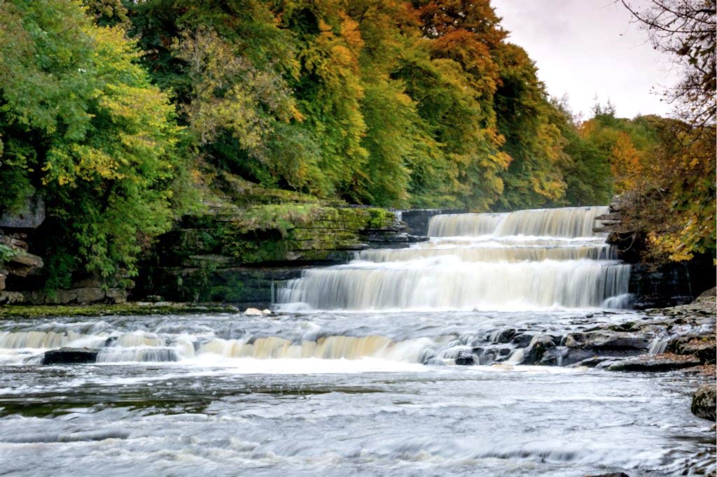 The image shows Aysgarth Falls which is a local waterfall in North Yorkshire.