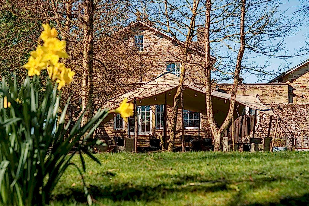The image shows the grounds of Yorebridge House Hotel in the Yorkshire Dales in spring time with daffodils and outdoor furniture.