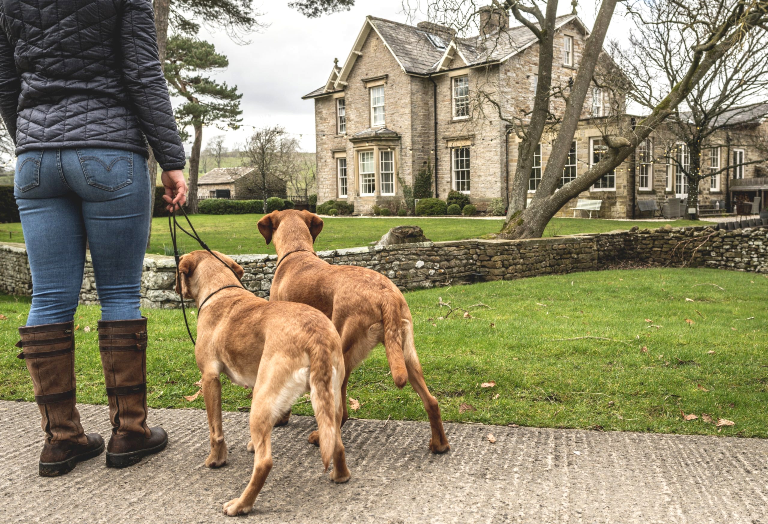 The image shows the grounds of Yorebridge House Hotel in Bainbridge, North Yorkshire with dogs outside. Yorebridge House is a dog friendly hotel in North Yorkshire.